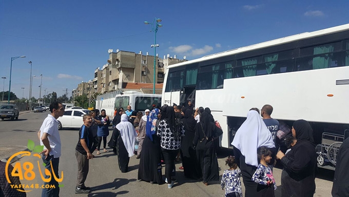 Mo3tmren lud ramla (11).jpg